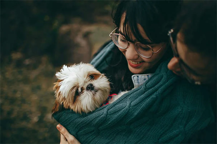 Stressfreier Tierarztbesuch: So gewöhnt sich Ihr Hund angstfrei an die Praxis